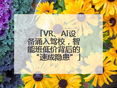 VR、AI设备涌入驾校，智能班低价背后的“速成隐患”